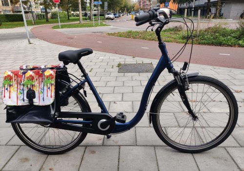 Aldo damesfiets lage instap comfort met Shimano Nexus 3 versnellingen en fietstassen