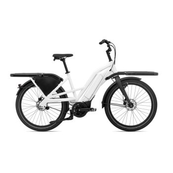 E-Bike Giant Delivery E+ wit